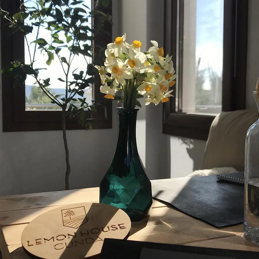 Lemon House Cunda Bed & Breakfast Ayvalı