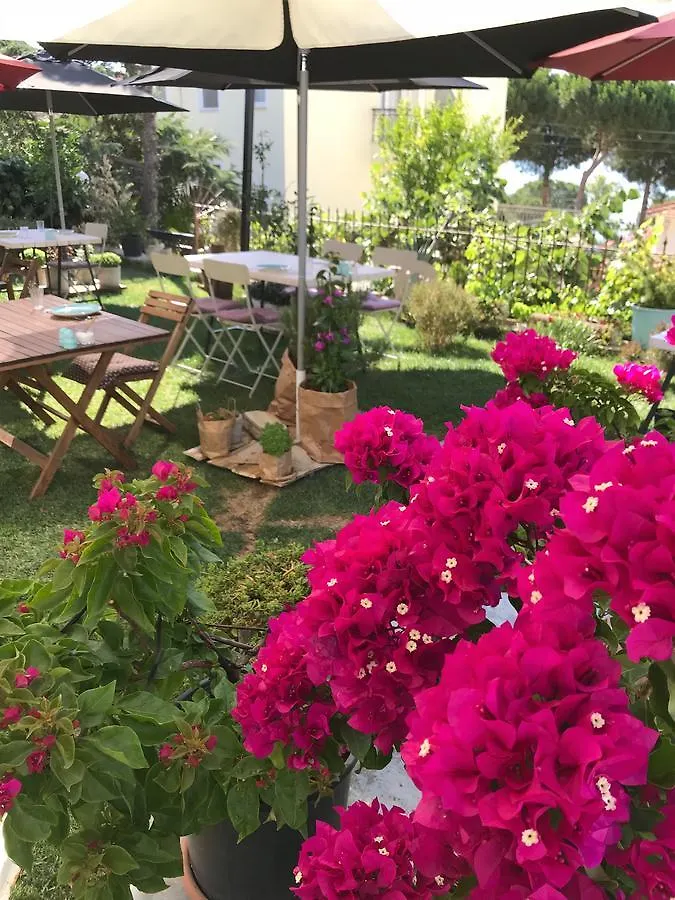 Lemon House Cunda Bed & Breakfast Ayvalı 0*,
