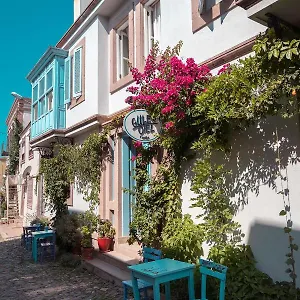 Güle Ayvalı